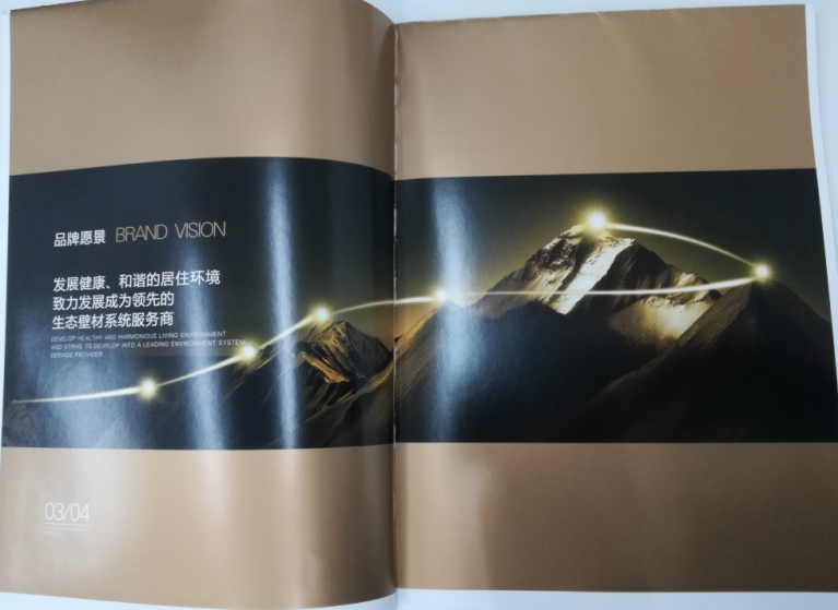 洛迪環(huán)?？萍计髽I(yè)宣傳畫冊印刷圖2